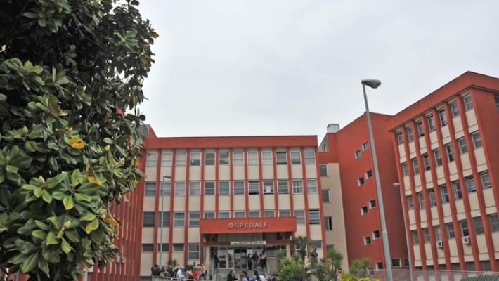 Bimbo di 13 mesi azzannato dal pitbull di casa, non &egrave; in pericolo di vita