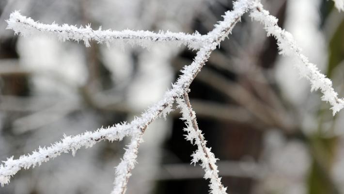 Freddo intenso in Lombardia, a nord di Milano -8 gradi