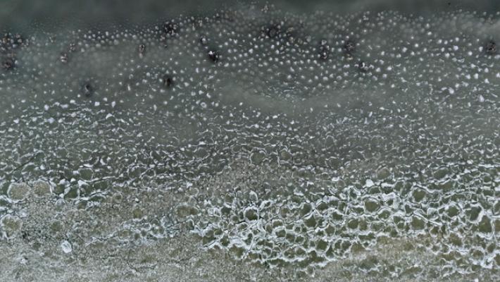 Allerta gialla per temperature estreme in tutta l'Emilia-Romagna