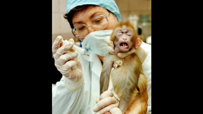 Leal, 'scelta scellerata cancellare divieti su xenotrapianti e test su droghe'