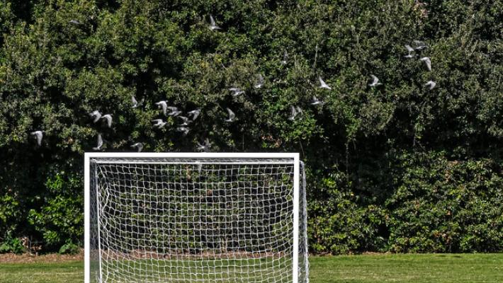 Morto a calcetto a 15 anni, &egrave; stata aritmia maligna