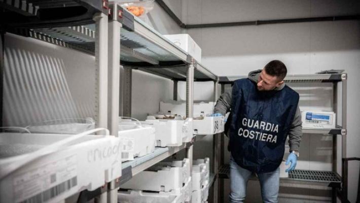 Fermo per due mercantili stranieri nel porto di Civitavecchia