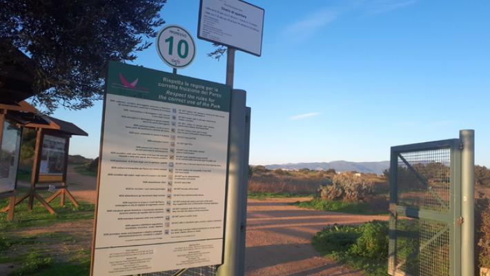 Cagnolini seviziati e uccisi a Cagliari, 'chi sa parli'