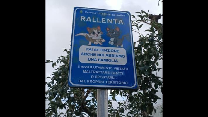 Cartelli stradali per tutelare gatti, 'rallenta, anche noi abbiamo famiglia'