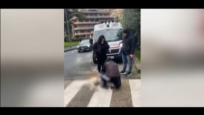 Investe due cani al guinzaglio e ne uccide uno, &egrave; caccia al 'pirata'
