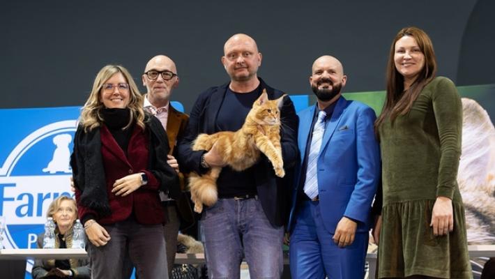 Un cucciolo di 'Maine Coon' &egrave; il gatto pi&ugrave; bello del mondo