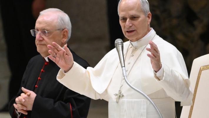 Il Papa, mai pi&ugrave; antisemitismo, fermare l'orrore del genocidio ovunque