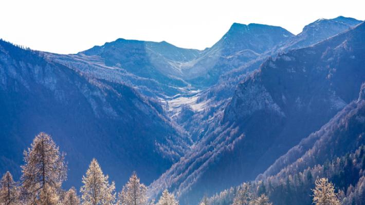 Regione Piemonte, 12 milioni per la gestione sostenibile dei boschi