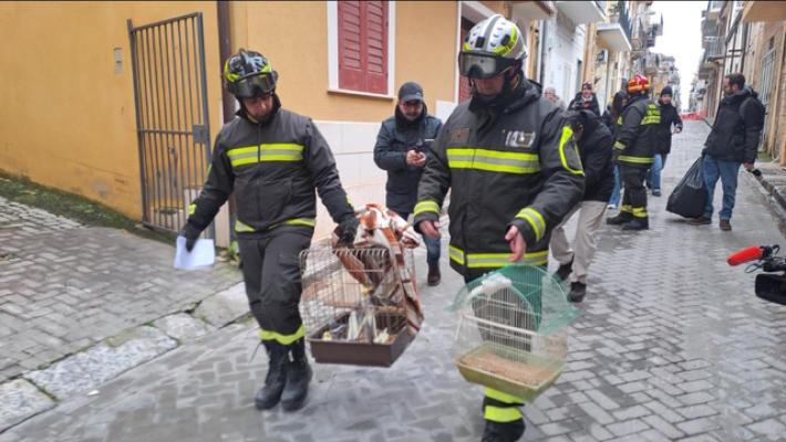 Pino e Rita sfollati Niscemi in lacrime, recuperano pappagalli e statua Madonna