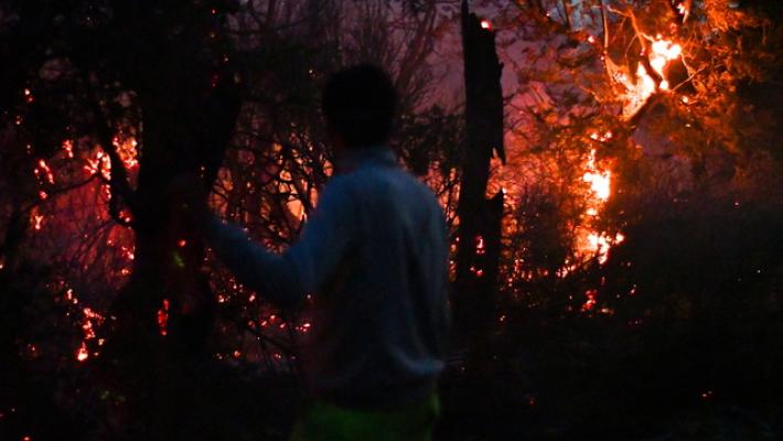 Si aggrava l'emergenza incendi in Patagonia, a fuoco 230 mila ettari