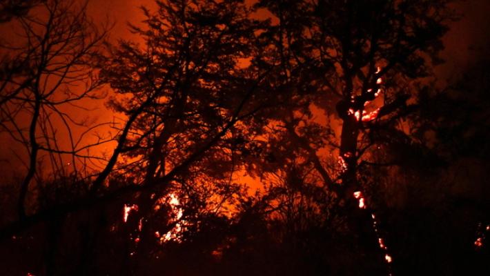Satelliti Ue rilevano i maggiori incendi in 20 anni in Patagonia