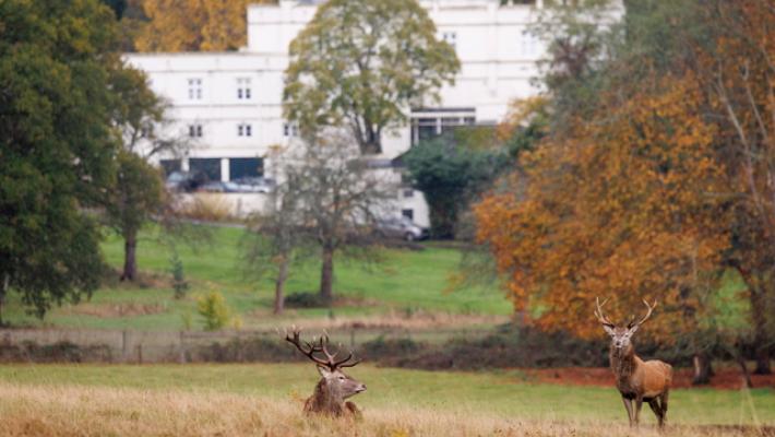 Bbc, 'l'ex principe Andrea ha lasciato la residenza di Windsor'