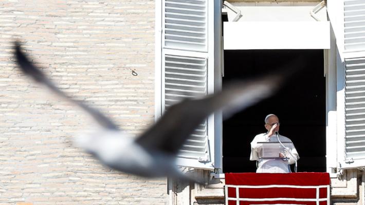 Il Papa, le strategie militari non danno futuro all'umanit&agrave;