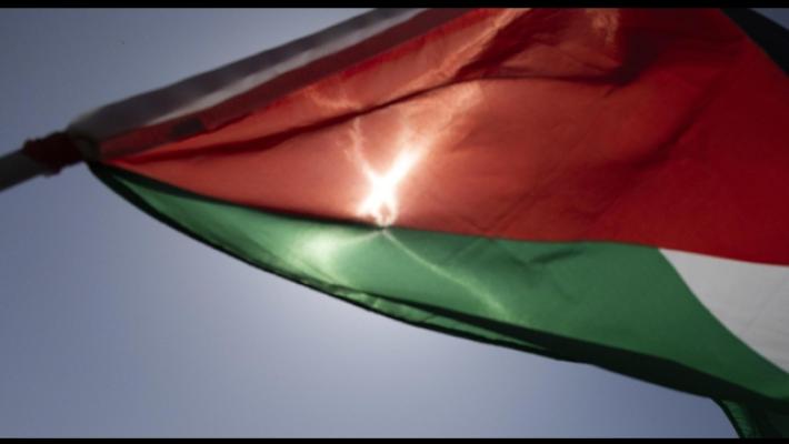 Alessandria, 17 denunce per manifestazione pro Pal del 2 ottobre scorso