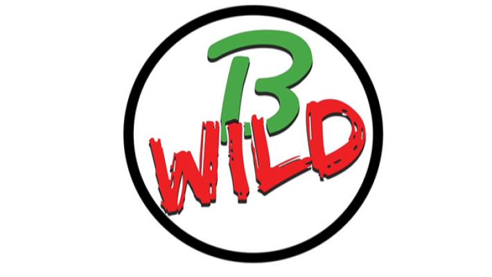 B-Wild