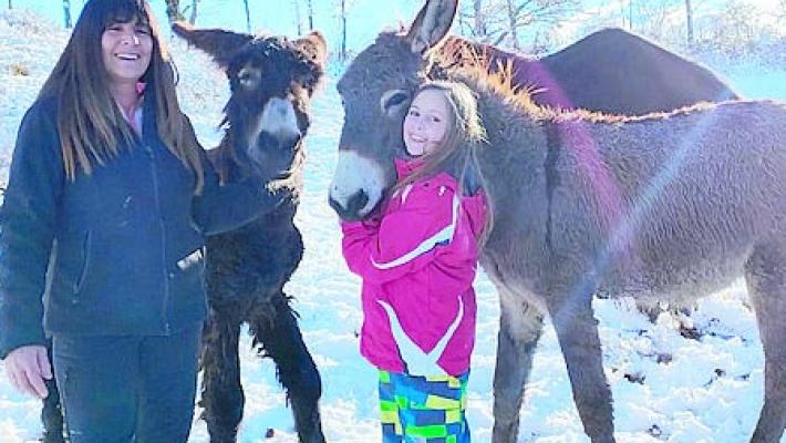 Abelli «Il mio ritorno alle radici per produrre secondo natura»