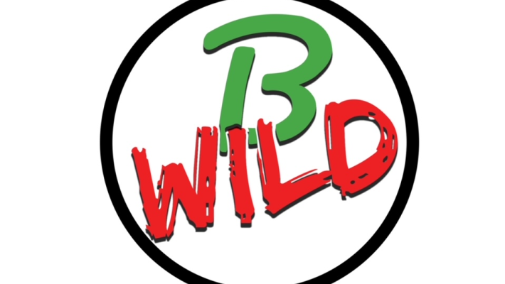 B-Wild – Storie di viaggio