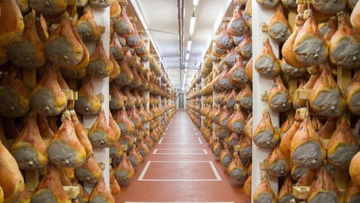 Maiali danesi per i prosciutti dop: patteggiano in dieci