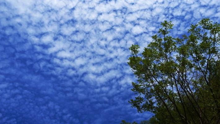 Cielo di mezza estate 