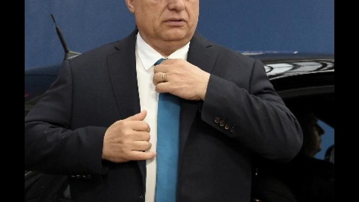 Ue: Orban, resto nel Ppe se farà gli interessi dell'Ungheria
