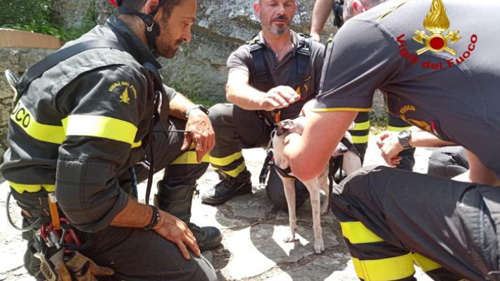 Leviero illeso dopo volo di 50 metri, recuperato dai Vvf - Il video