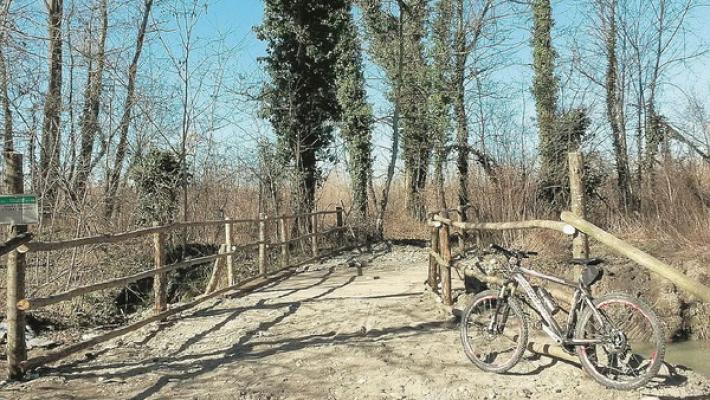 Il Parco del Taro e il cane al guinzaglio