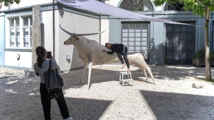 Svizzera: bimbo distrugge opera d'arte. Valeva 50 mila dollari