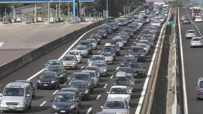 Tir si ribalta e perde il carico, mucche in autostrada sulla A4