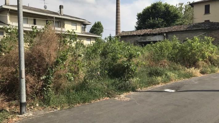 Sterpaglie, topi e sporcizia a Pilastrello