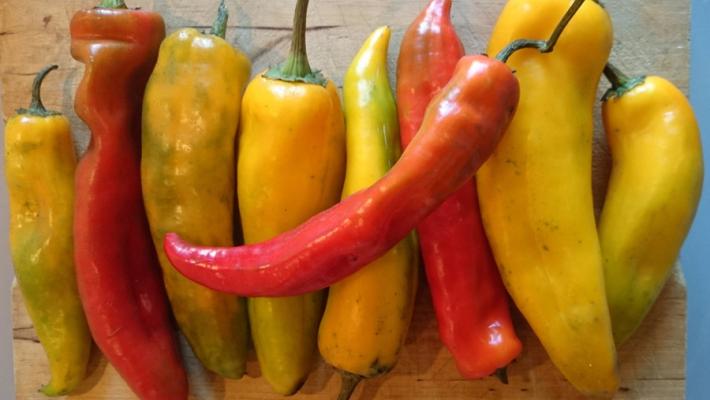 La ricetta green - Cupoletta di orzo ai peperoni