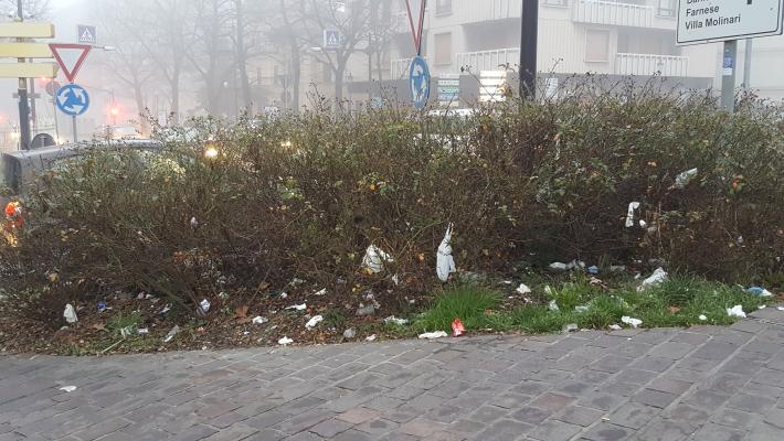 Ponte delle Nazioni: aiuola nel degrado