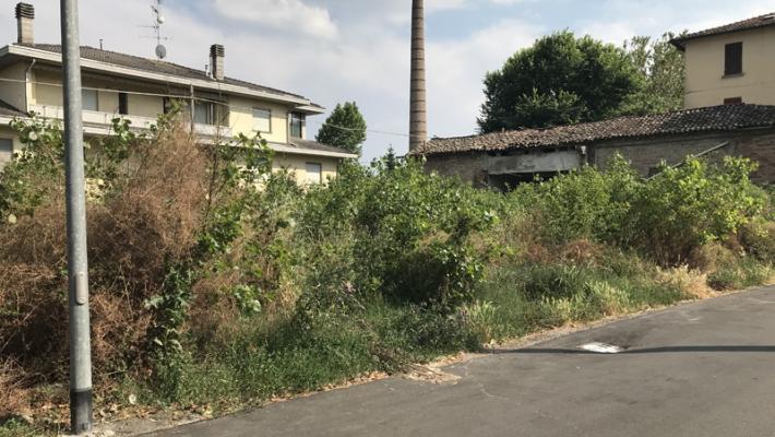 Appello dei residenti al Comune: «Siamo circondati da bisce e topi»