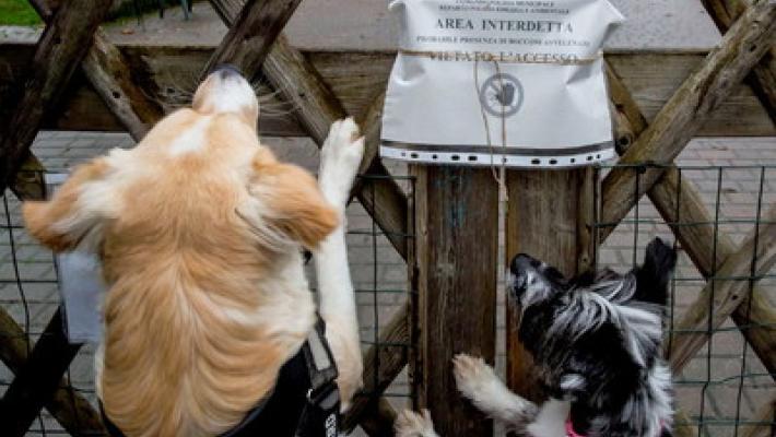 Esche avvelenate: nuovo allarme