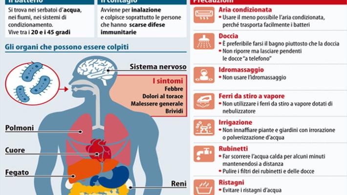 Legionella:  come si trasmette e che sintomi dà
