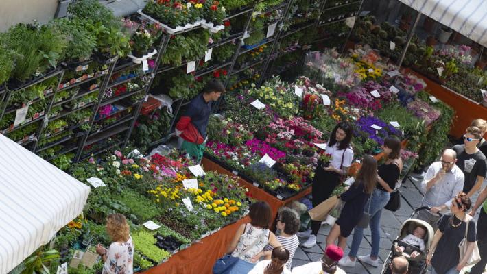 Via Farini infiorata: ma c'&egrave; tanto altro - La top 5 del fine settimana