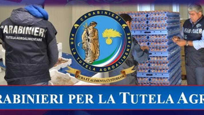 Sequestrati 10 tonnellate di miele con etichette prive delle indicazioni obbligatorie