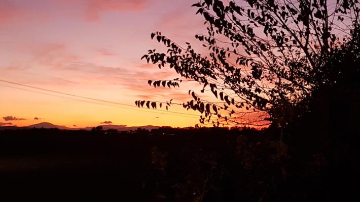 Tramonto ad Alberi