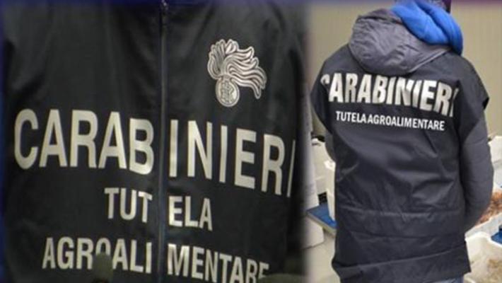 Operazione “Crudo”, 26 ristoranti setacciati dai carabinieri: sequestrati 200 kg di prodotti