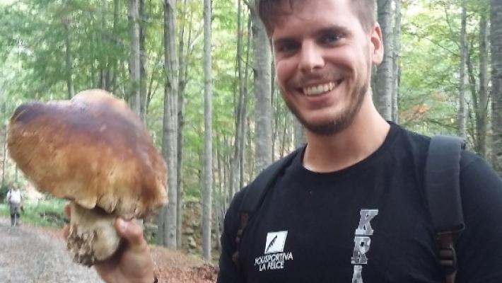 Fungo da record: 2 kg di porcino