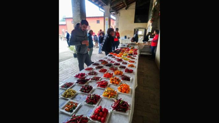  Al Podere Stuard il peperoncino fa bene… due volte