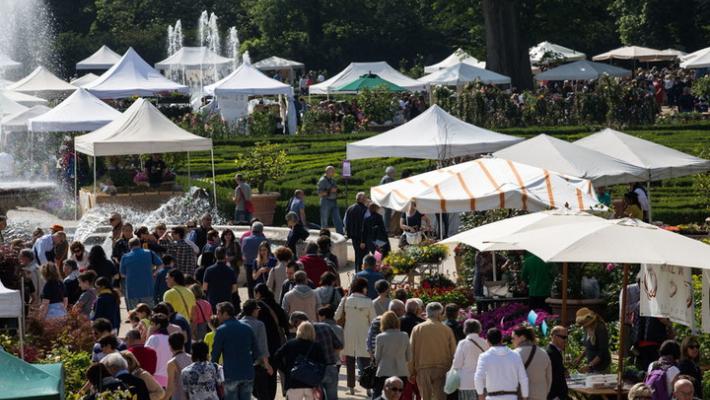 Fiori, ma anche vinile: la top 5 del fine settimana nel Parmense