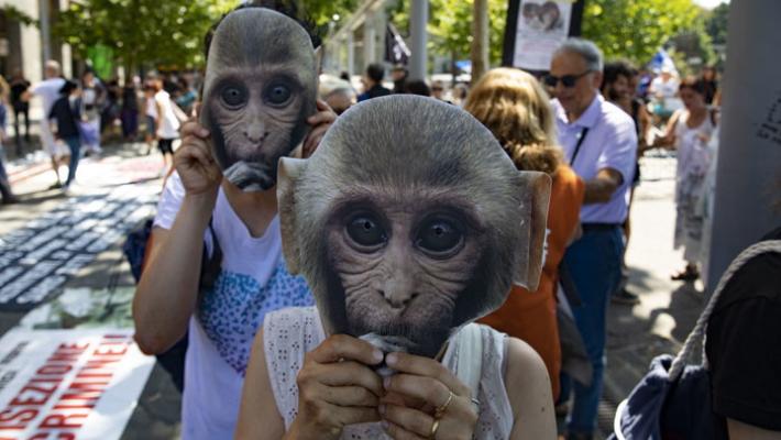 Modifica della viabilità domani per il corteo #Macachi Liberi