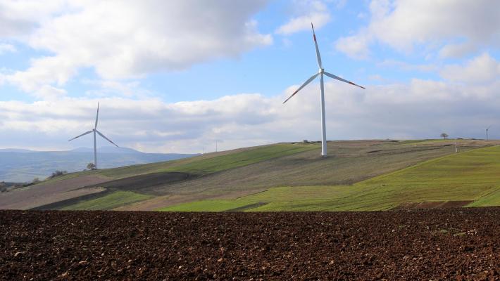 Il grande dilemma  dell'economia green