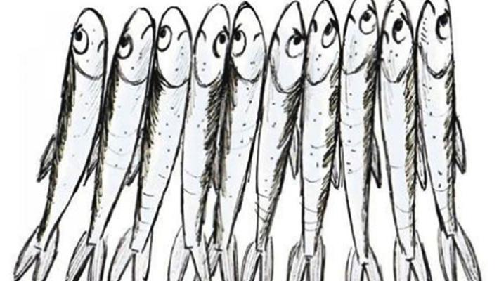 Post choc del prof agli  alunni: se vi becco tra le sardine è  l'inferno