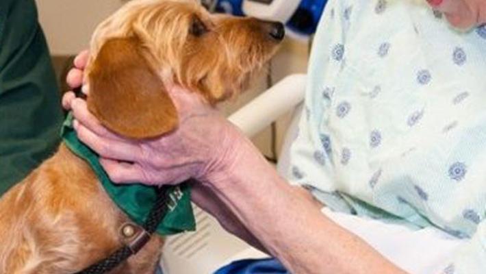 Colpito da ictus vede il suo cane e pronuncia alcune parole
