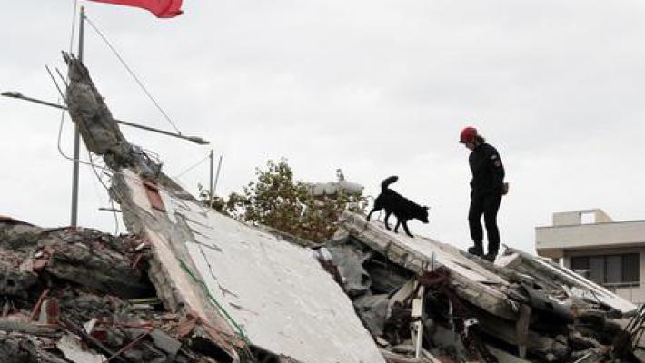 Sisma in Albania: gaffe in tv, si dimette la sindaca di Durazzo