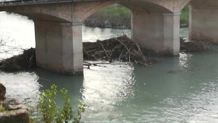 Ponte Dattaro, greto della Parma intasato da tronchi secchi