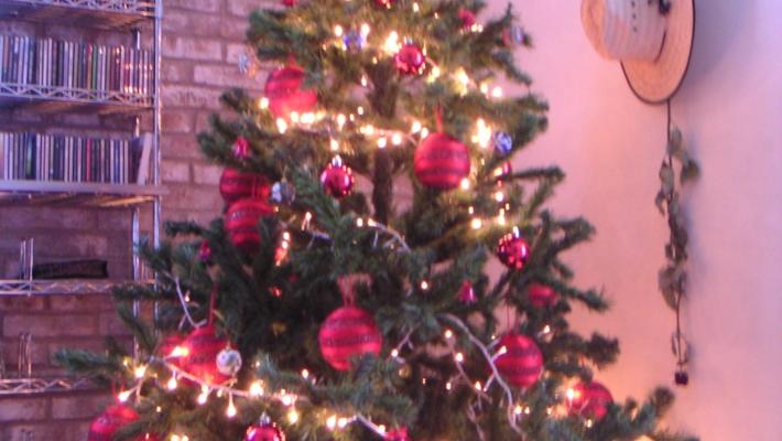 Luci dell'albero di Natale in cortocircuito: anziano muore nell'incendio