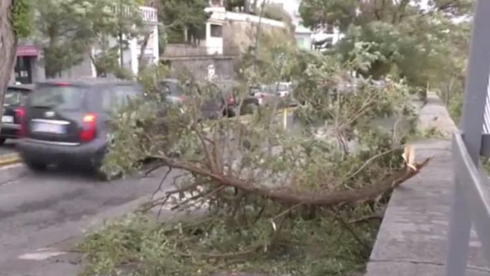 Maltempo, albero cade a Napoli: un morto