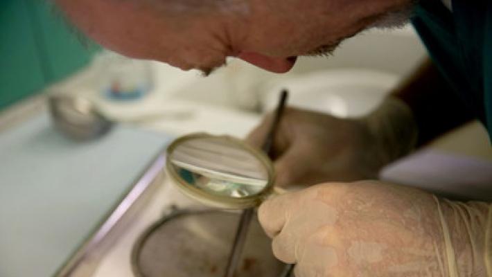 Medicina legale, &laquo;caccia&raquo; ai misteri della morte